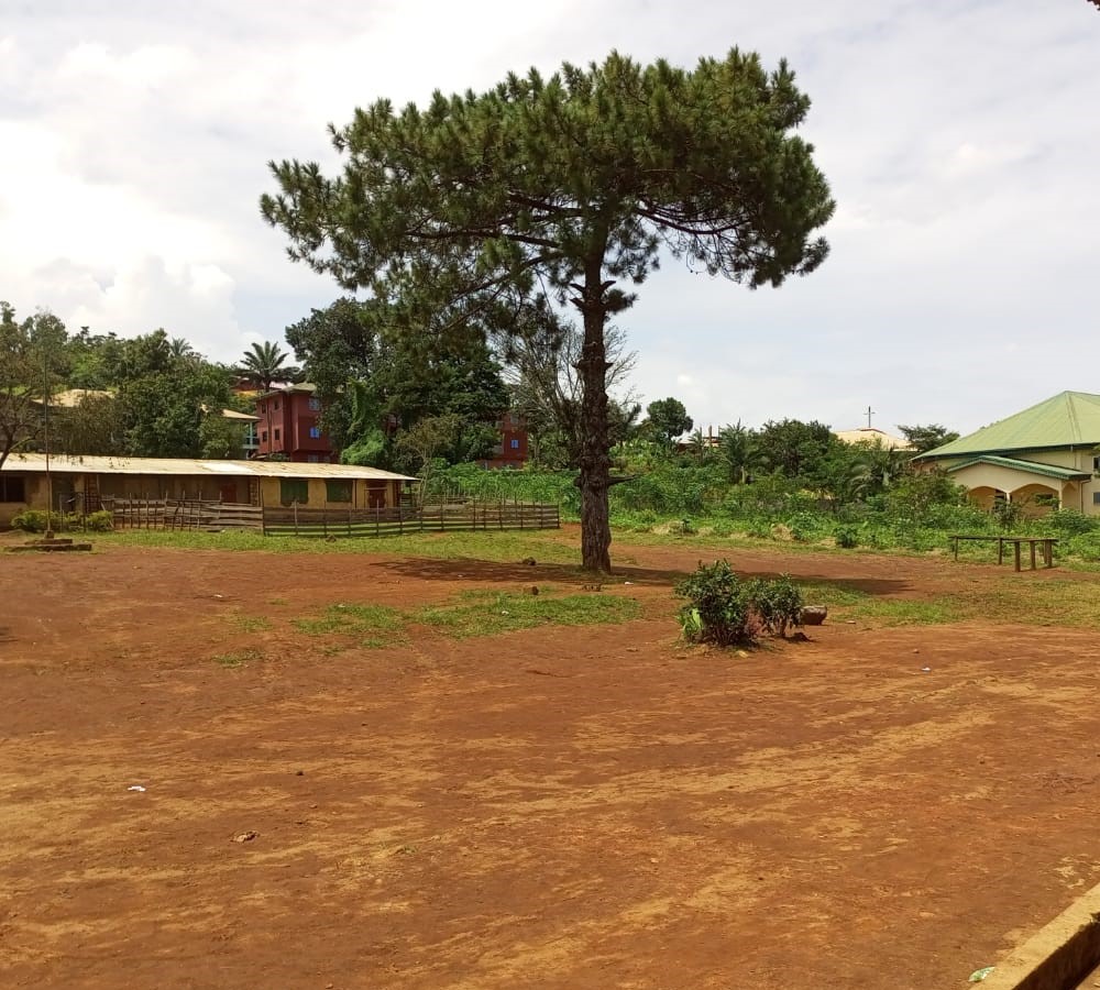 Best Evening School in Cameroon